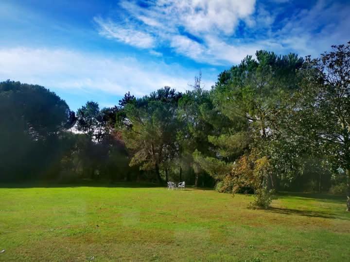 Printemps Quatre Saisons Lejlighed Bergerac Eksteriør billede